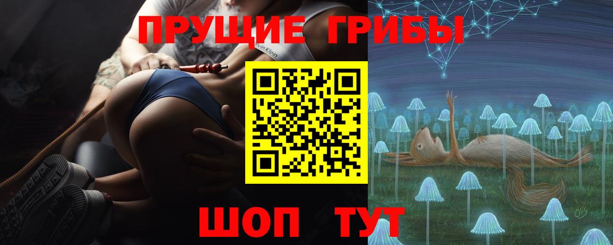 Псилоцибиновые грибы Cubensis  Галлюциногенные грибы мицелий  Дзержинский  где купить наркоту  Вход с VPN 